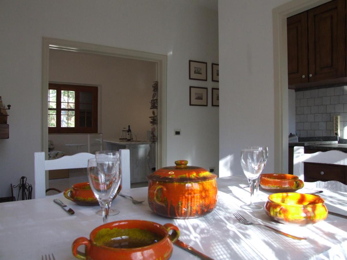 Vacanze Toscane In The Country - Villa Agrifogli Sassetta Exterior foto